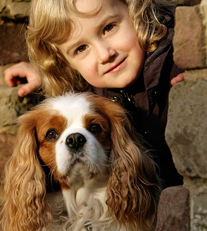 cocuklar_kopekler_2Cavalier-King-Charles-Spaniel2