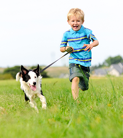 cocuklar_kopekler_8-border-collie2-