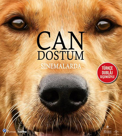 can-dostum